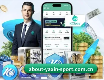 亚新 APP 深度功能